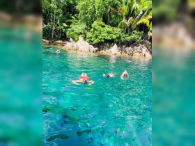 A group of snorkelers explores vibrant underwater life in crystal-clear waters, surrounded by lush tropical scenery — an ideal adventure for marine enthusiasts.