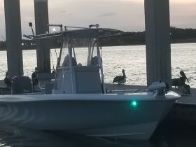 A sleek boat docked at sunset, surrounded by calm waters and pelicans, showcasing the perfect setting for a day on the water.