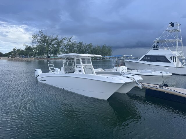 Listing image 1076102