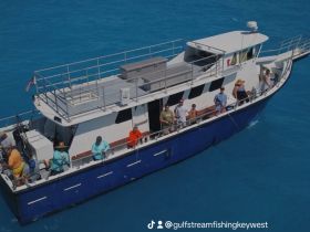 Charter Image