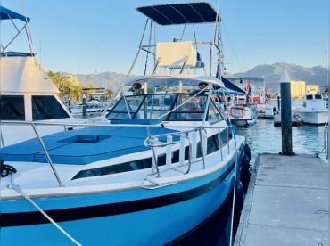 Vallarta Sportfishing- Yamaica lV