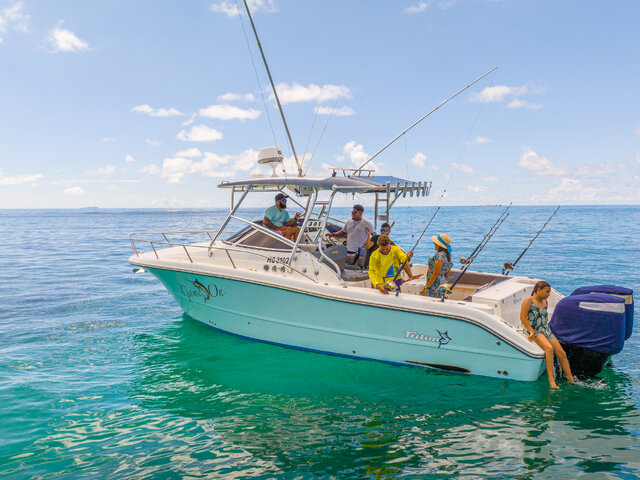 Listing image 1060327