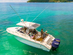 A lively group enjoys a fishing trip on a boat in clear turquoise waters, showcasing the perfect blend of adventure and relaxation on the ocean.