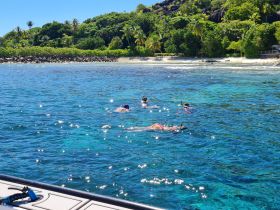 A group enjoys snorkeling in crystal-clear waters, surrounded by lush tropical scenery — a perfect adventure for marine exploration.