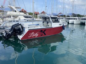 A striking view of the 'Lady' boat docked in a marina, showcasing its sleek design and vibrant colors against a backdrop of other vessels.
