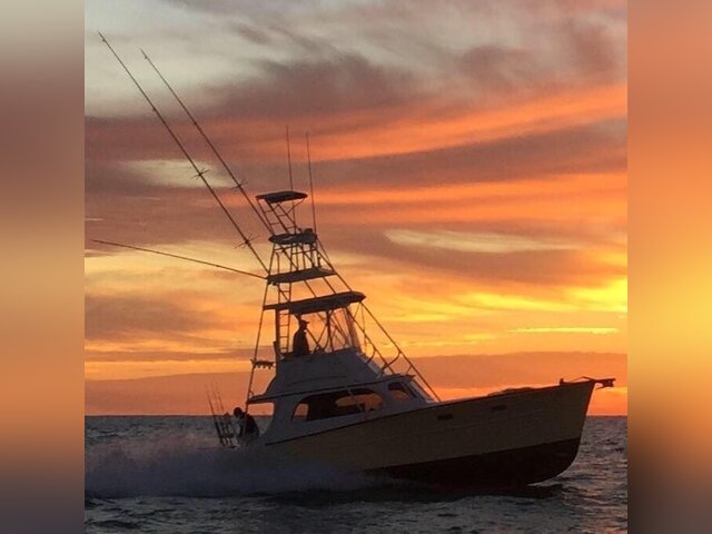 Listing image 1086589