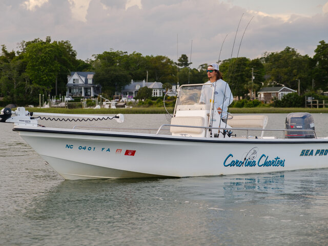 Listing image 1062597