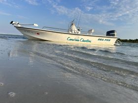 A pristine Sea Pro boat named 'Carolina Charters' rests on the shore, showcasing its sleek design against a backdrop of clear skies and gentle waves.
