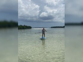 A person paddleboards through clear waters, surrounded by lush greenery and a serene landscape — a perfect snapshot of outdoor adventure and water sports.