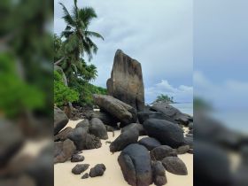 A scenic view of large rocks and palm trees on a beach, creating a natural landscape. The image lacks clarity and focus.
