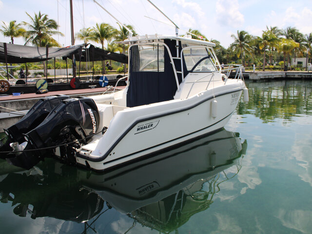 Listing image 1060438