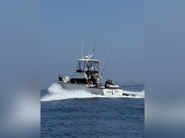 Listing image 1060523