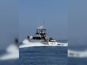 A speedboat glides through the water with guests onboard, showcasing the thrill of a day out on the ocean.