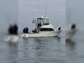 A group of anglers enjoys a day of fishing on a boat, showcasing the camaraderie and excitement of ocean fishing adventures.