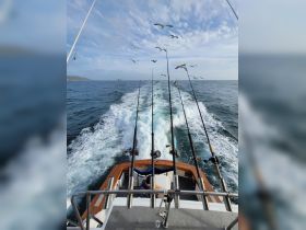 A scenic view from the back of a fishing boat, showcasing fishing rods and seagulls flying above as the boat navigates through the ocean waves.