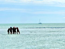 A group of friends enjoys a fun moment at a sandbar, with a sailboat in the background — perfect for beach outings and sailing adventures.
