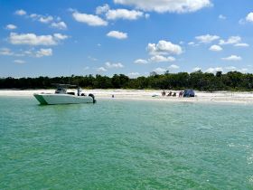 A group enjoys a relaxing day on the beach with a pontoon boat anchored nearby, perfect for sandbar stops and fun in the sun.