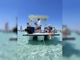 A lively group enjoys a sunny day on a pontoon boat, complete with dogs and clear turquoise waters — perfect for summer fun and relaxation.