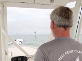 A captain navigates from the helm of a fishing charter boat, showcasing the console and equipment essential for a successful day on the water.