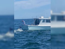 A fisherman reels in a catch aboard a fishing boat, showcasing the excitement of ocean fishing adventures.