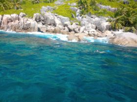 Snorkelers explore the vibrant waters near rocky shores, showcasing the beauty of tropical marine life and stunning scenery.