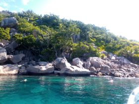 A group enjoys snorkeling in the crystal-clear waters near rocky shores, showcasing the beauty of the underwater world and a perfect day at the beach.