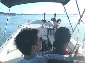 A couple enjoys a close encounter with pelicans aboard their boat, highlighting the beauty of wildlife interactions while on the water.
