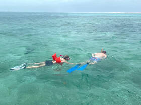 Two snorkelers explore the clear waters, enjoying an underwater adventure — perfect for marine life encounters and fun in the sun.