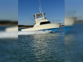 A sleek speedboat cuts through the water, showcasing its dynamic design and performance. Perfect for thrilling adventures on the open sea.