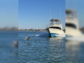 A boat speeds through the water with passengers onboard, showcasing a beautiful day on the water against a scenic backdrop of coastal homes.