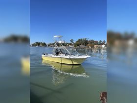 A boat navigates through calm waters, showcasing a sunny day on the water — perfect for fishing or leisure outings.
