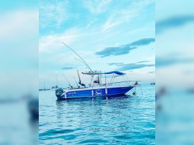 A vibrant blue speedboat named 'Let it be' anchored in calm waters, showcasing its sleek design against a serene sky.