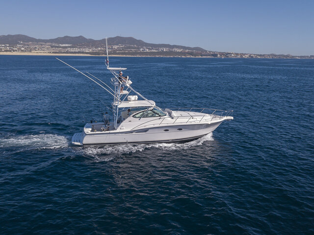 Listing image 1060785
