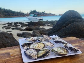 A fresh platter of oysters on a wooden table, set against a scenic beach backdrop with a boat anchored nearby — perfect for seafood lovers enjoying a day on the water.