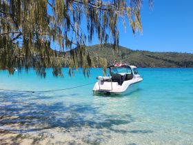 A picturesque view of a boat docked in crystal-clear waters, surrounded by lush greenery and a serene landscape — perfect for a day of relaxation on the water.