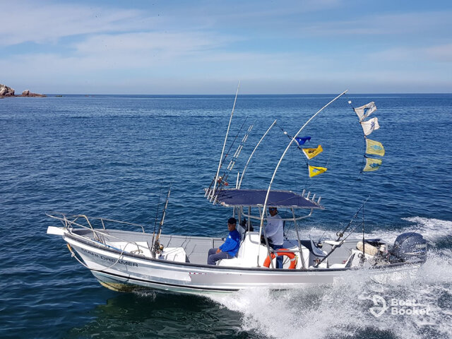 Listing image 1062246