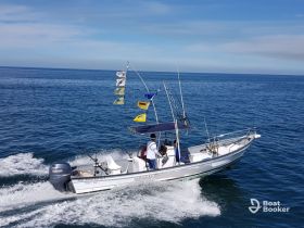 A speedboat navigates through clear waters, showcasing an exciting day on the ocean with fishing gear ready for action.