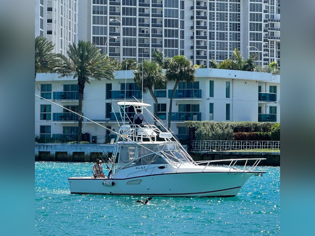 Listing image 1060930
