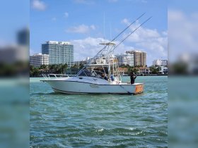A fishing boat navigates the waters with a city skyline in the background, showcasing a perfect day for angling and exploration.