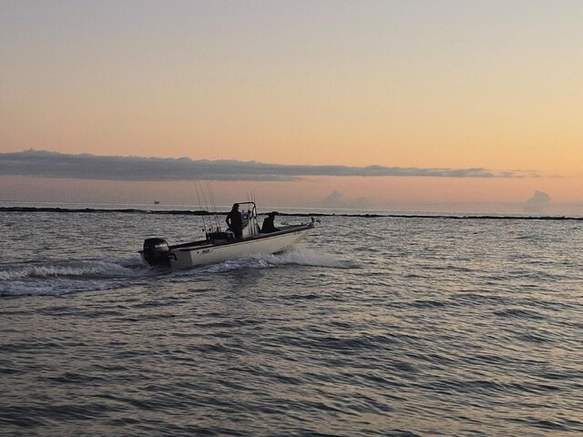 Listing image 1060942