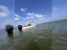 A person enjoys a day on the water aboard a sleek boat, showcasing the perfect setting for aquatic adventures.
