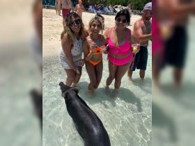 A lively group of friends enjoys a unique experience swimming with a pig in shallow waters, capturing the fun of this popular activity in the Bahamas.