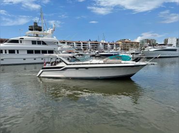 Nuevo Vallarta Charter