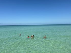 A joyful group enjoys a sunny day swimming in crystal-clear waters, perfect for family fun and beach outings.