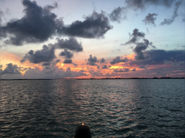 Sunset and Dolphin Tours Complimentary Bev.