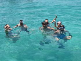 A lively group enjoys snorkeling in crystal-clear waters, showcasing the joy of underwater exploration and camaraderie.