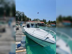 A speedboat named 'Shelby Dee' docked at a vibrant marina, with guests preparing for their next adventure in the clear turquoise waters.