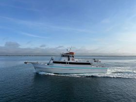 A stunning yacht cruising through calm waters, showcasing its sleek design and elegance — perfect for luxury charters or scenic tours.