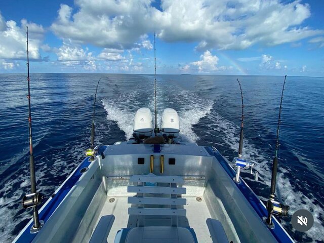 Listing image 1061514