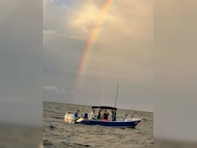 A group of anglers enjoys a fishing trip on a boat under a vibrant rainbow, creating a picturesque scene on the water.